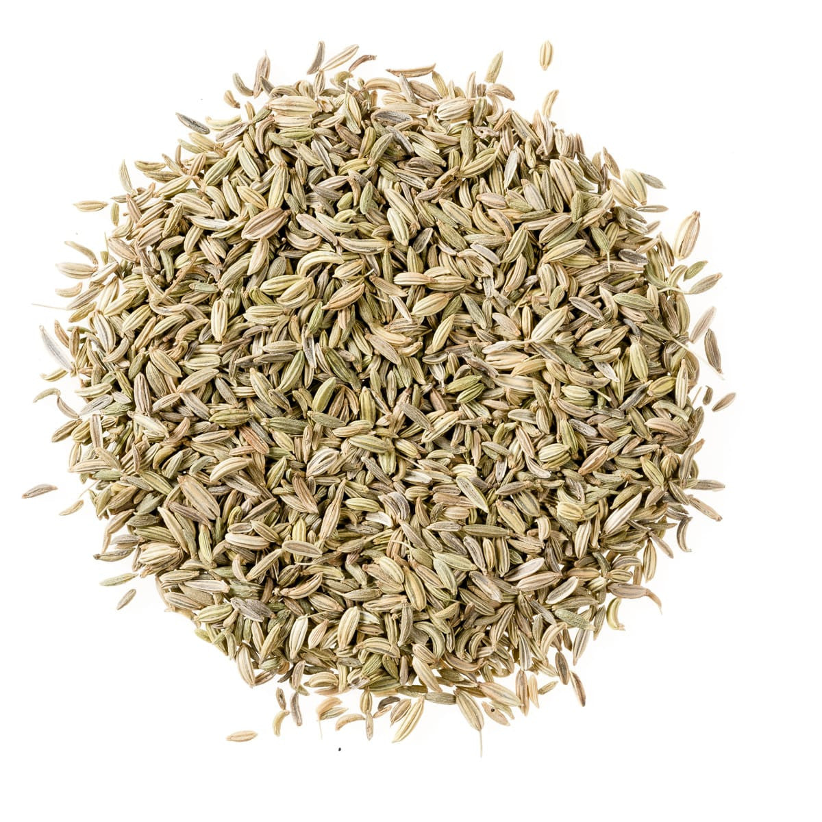 Fennel Seeds - Organic Herbal Tea (32g)