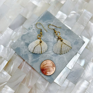 Shell Earrings