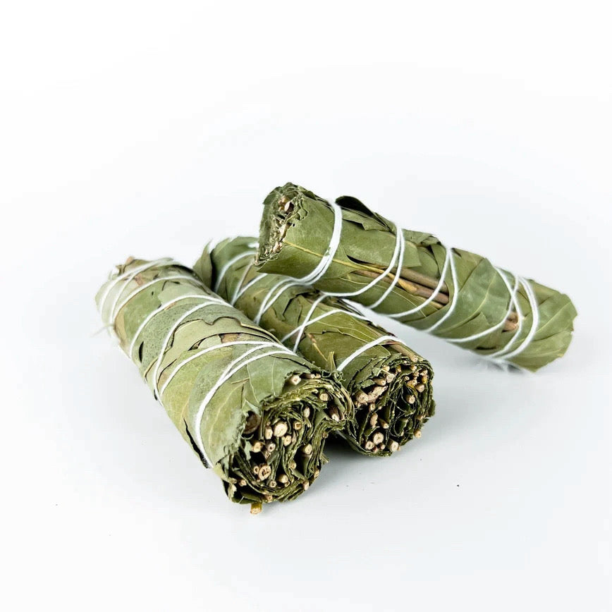 Eucalyptus Sage Bundle 4''