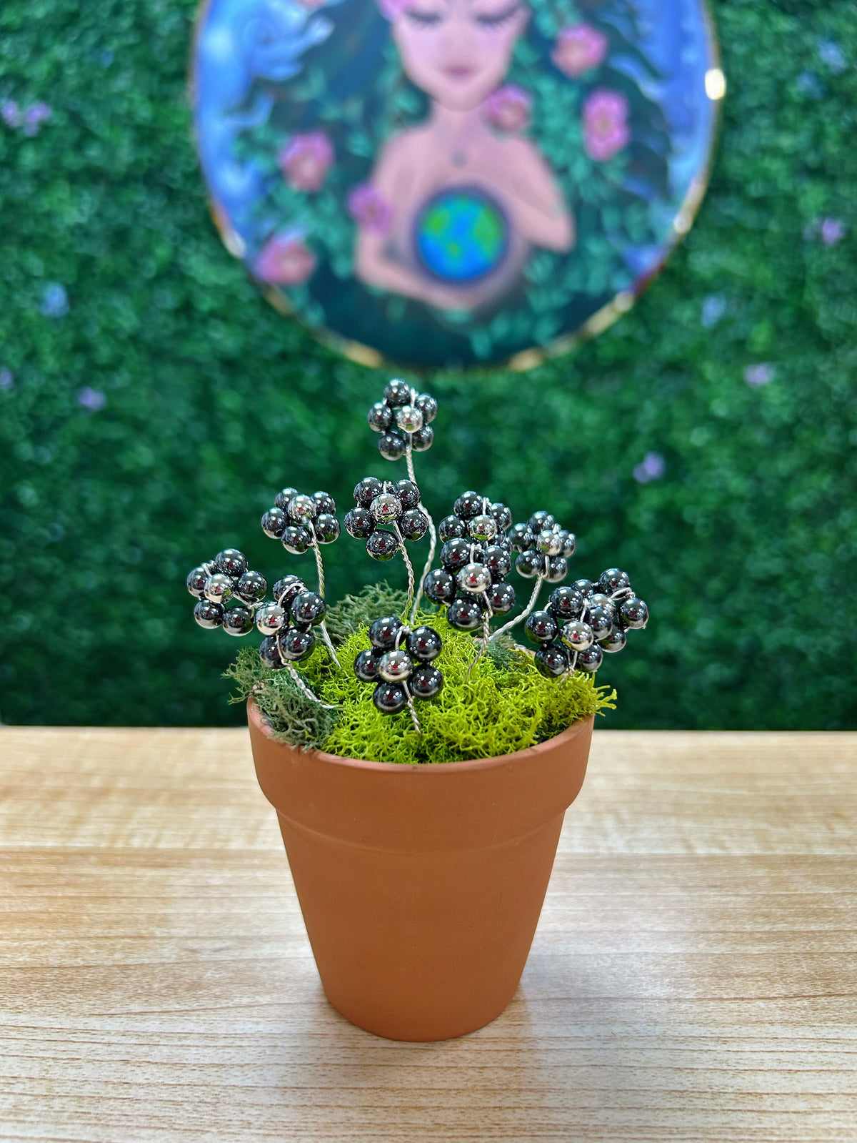 Hematite Flower Plant on 2.5'' Pot