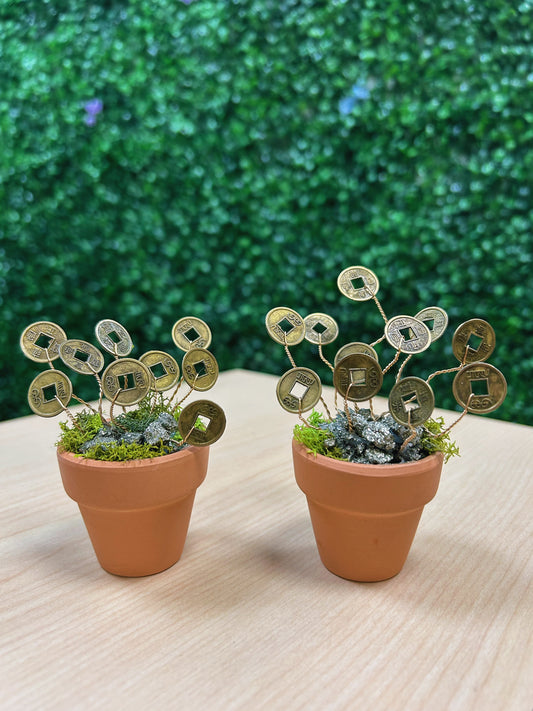 Money Plant with Pyrite on 1.5'' Pot