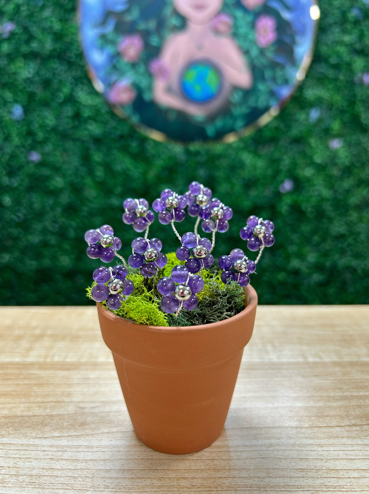 Amethyst Flower Plant on 2.5'' Pot