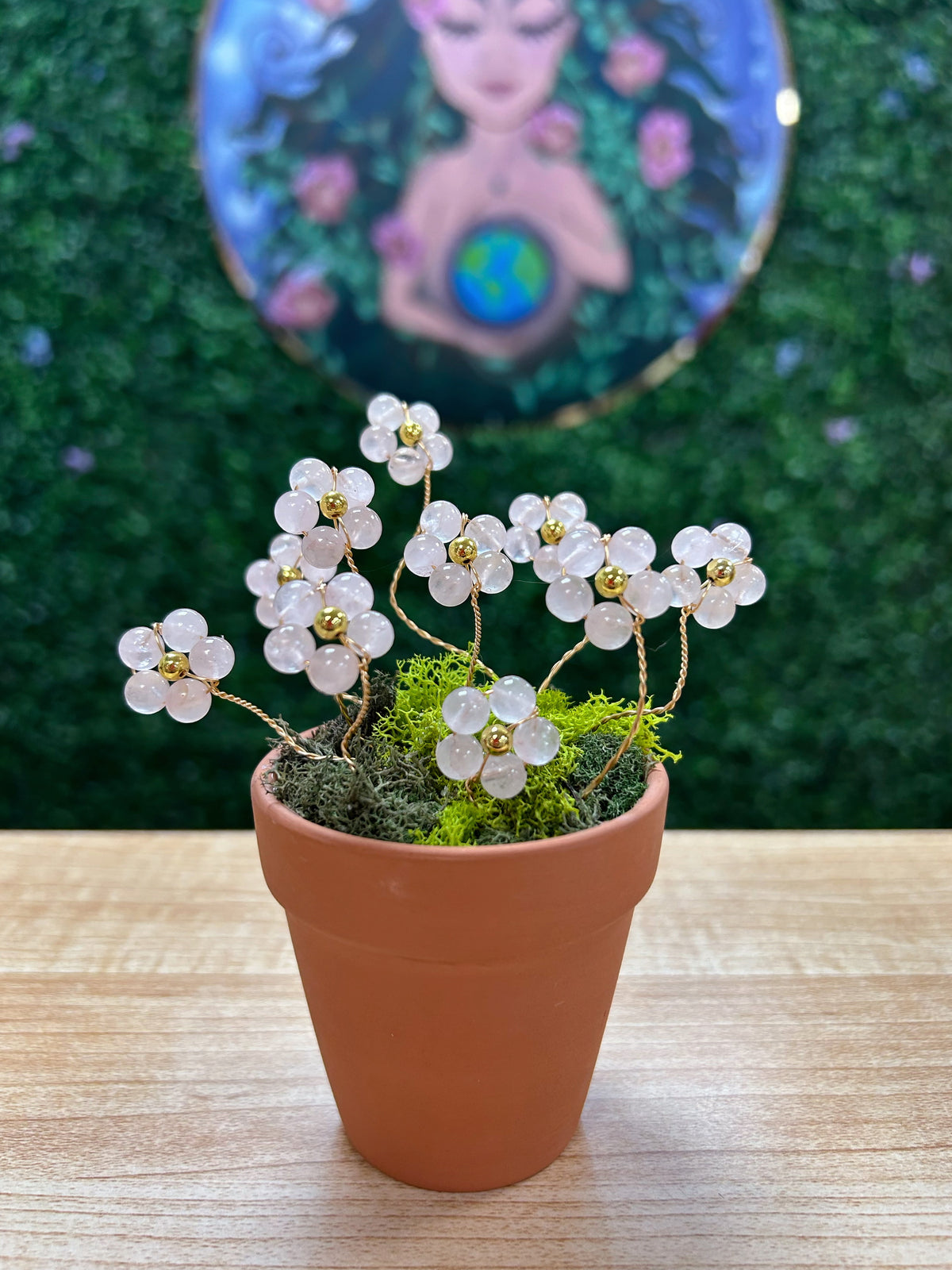 Rose Quartz Flower Plant on 2.5'' Pot