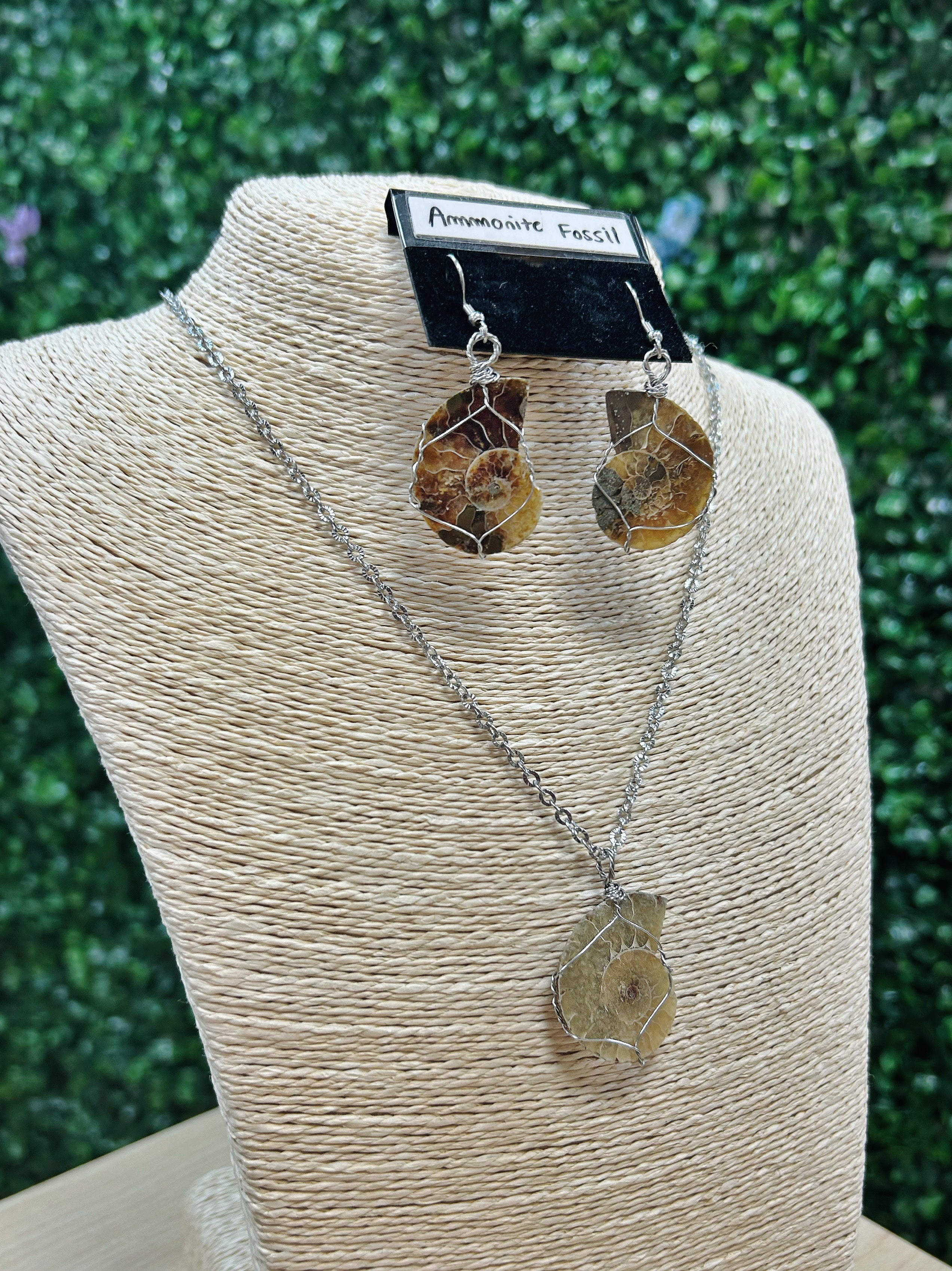 Ammonite Fossil Earrings and Necklace Set
