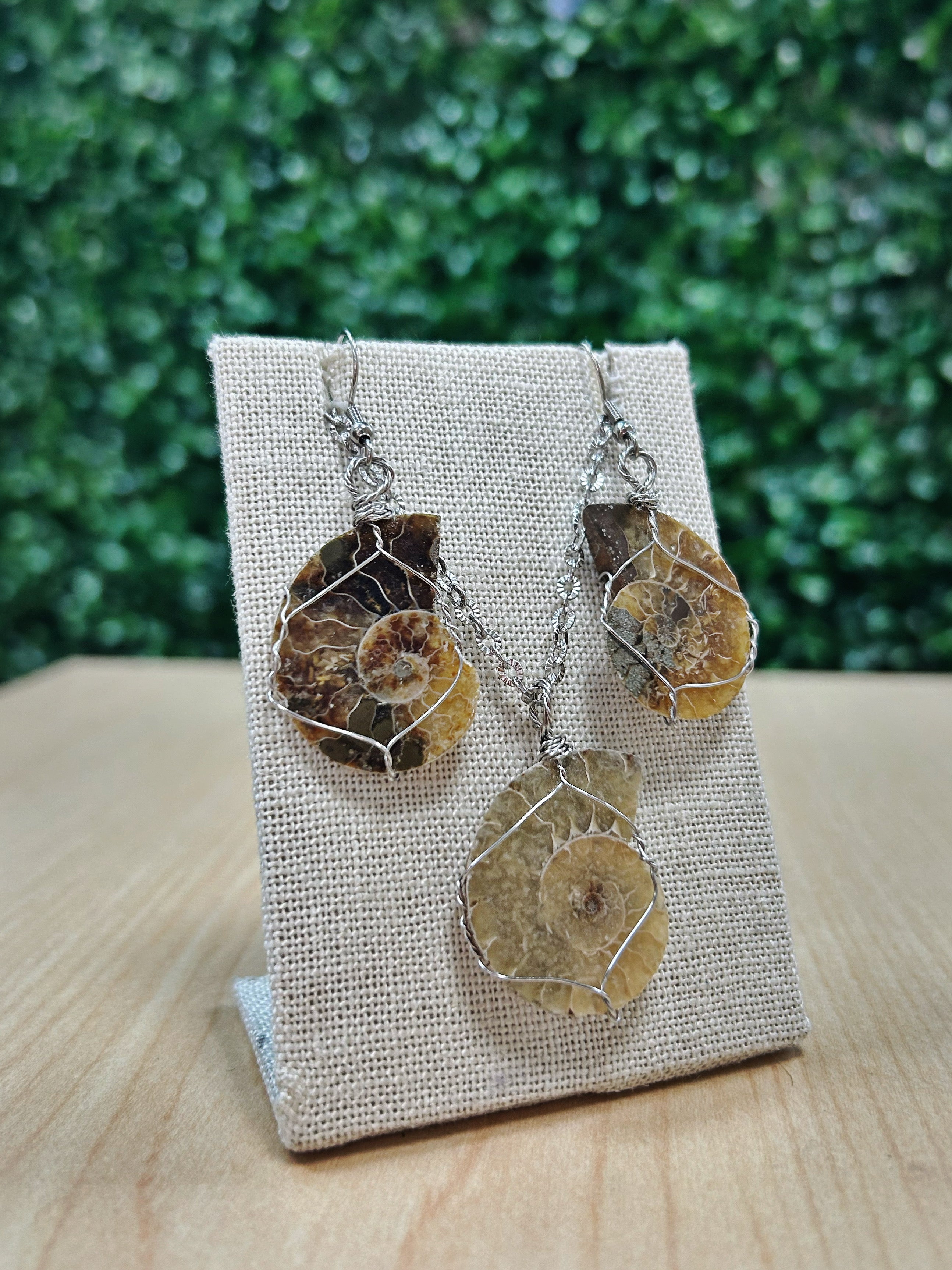 Ammonite Fossil Earrings and Necklace Set