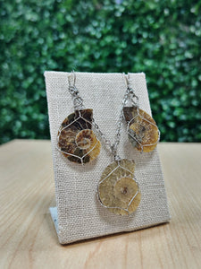 Ammonite Fossil Earrings and Necklace Set