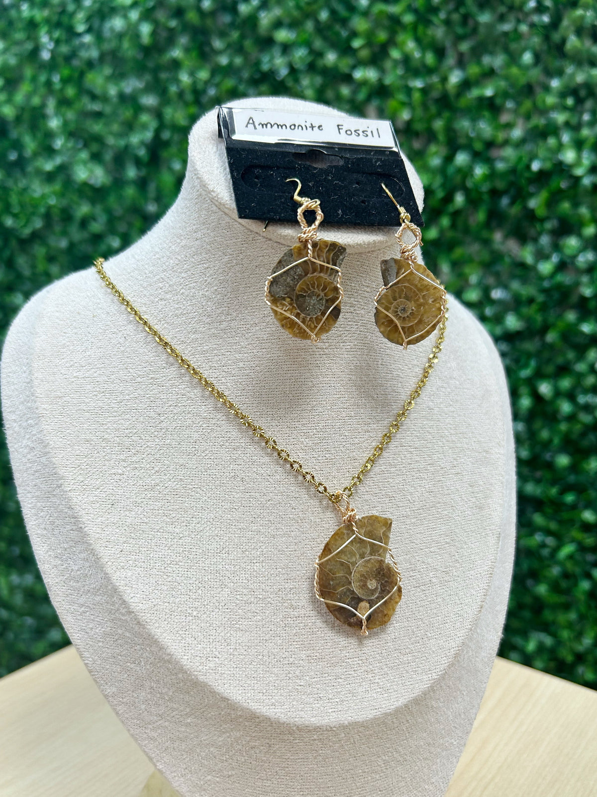 Ammonite Fossil Earrings and Necklace Set