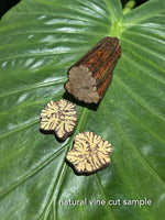 Load image into Gallery viewer, Sacred Ayahuasca with Onyx, baby Huayruro, and San Pedro Seeds - Long Necklace
