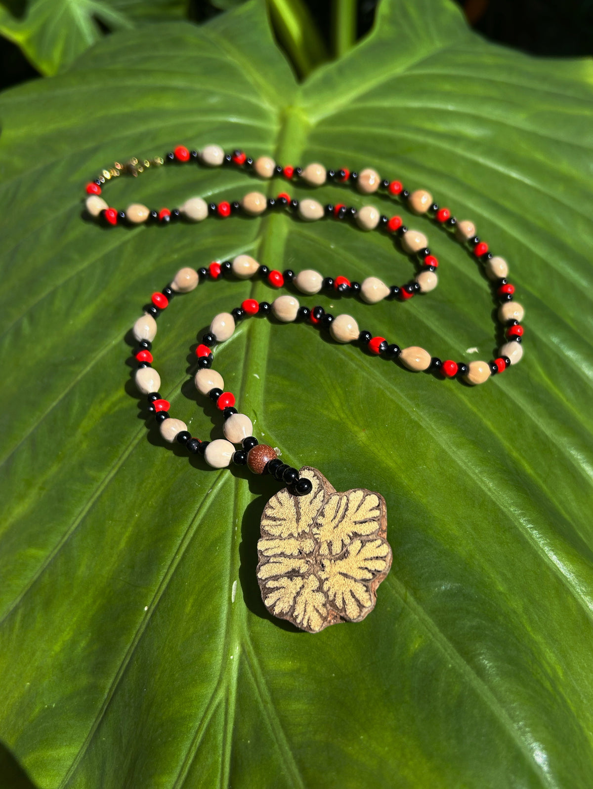 Sacred Ayahuasca with Onyx, baby Huayruro, and San Pedro Seeds - Long Necklace