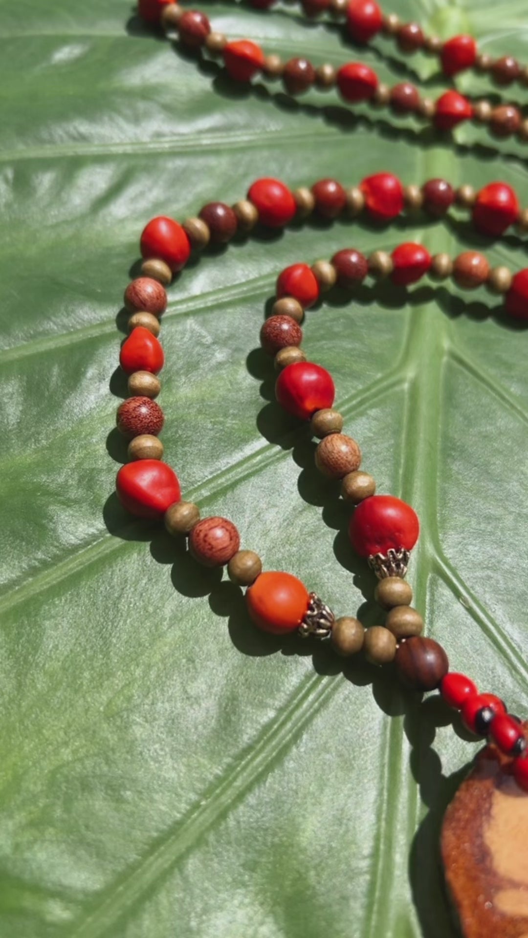 Sacred Ayahuasca with Sandalwood and Female Huayruro Seeds - Long Necklace