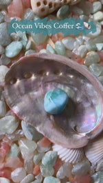 Load and play video in Gallery viewer, Amazonite, Aventurine, Larimar &amp; Natural Shells Coffer
