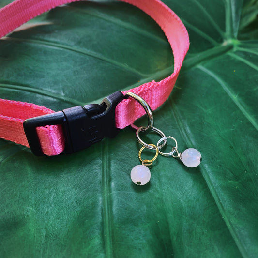 Rose Quartz Pet Charm