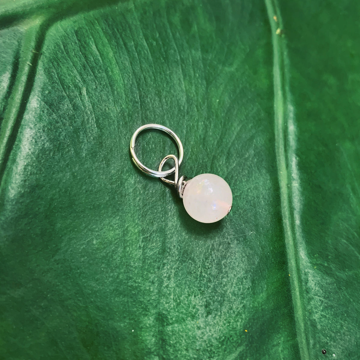 Rose Quartz Pet Charm