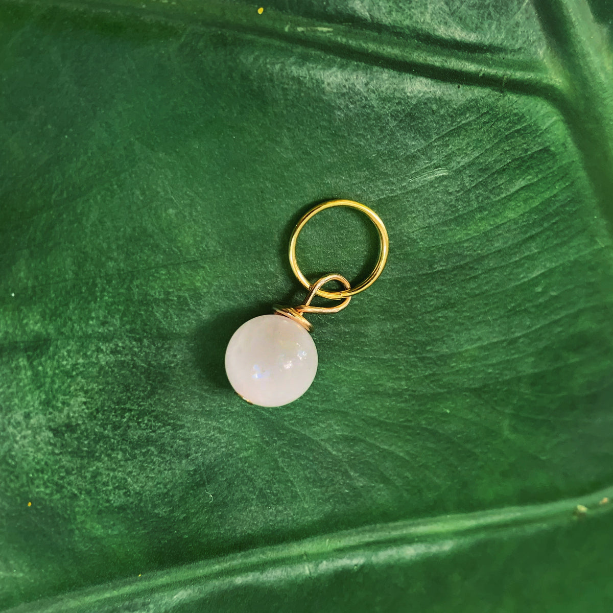 Rose Quartz Pet Charm