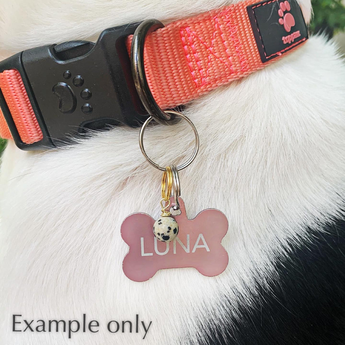 Obsidian Pet Charm