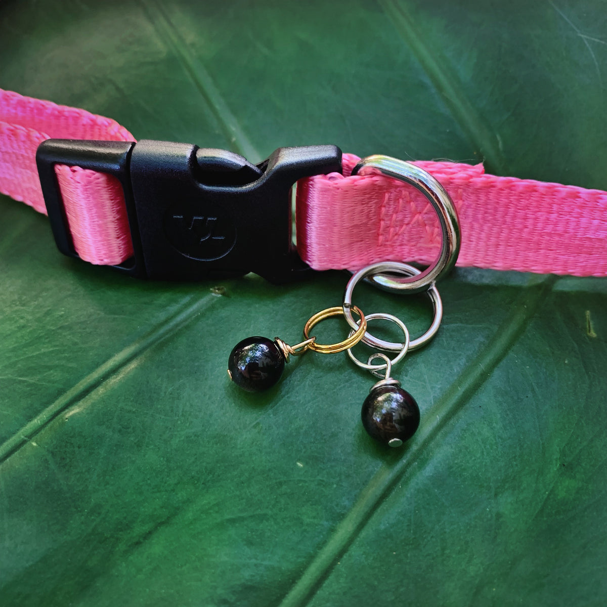 Obsidian Pet Charm