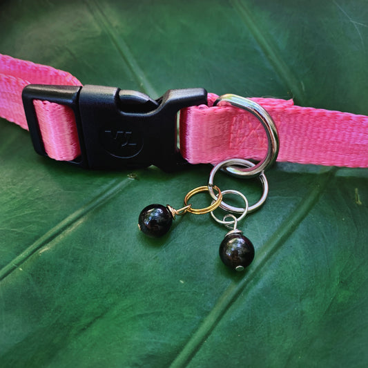 Obsidian Pet Charm