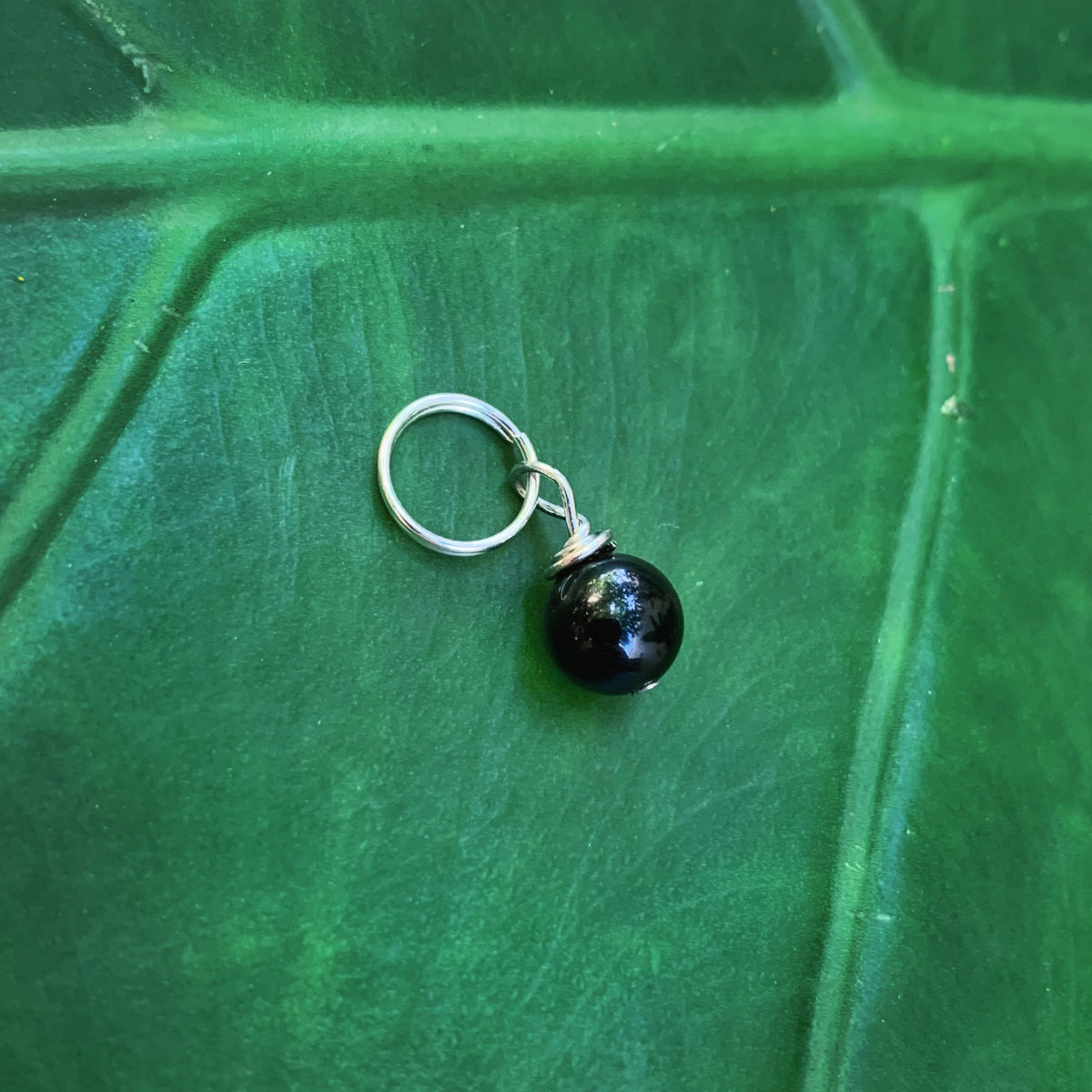 Obsidian Pet Charm