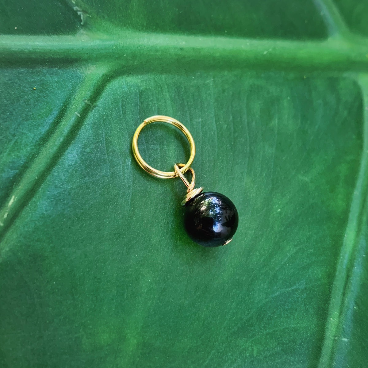Obsidian Pet Charm