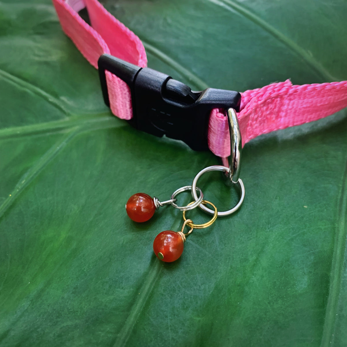 Carnelian Pet Charm