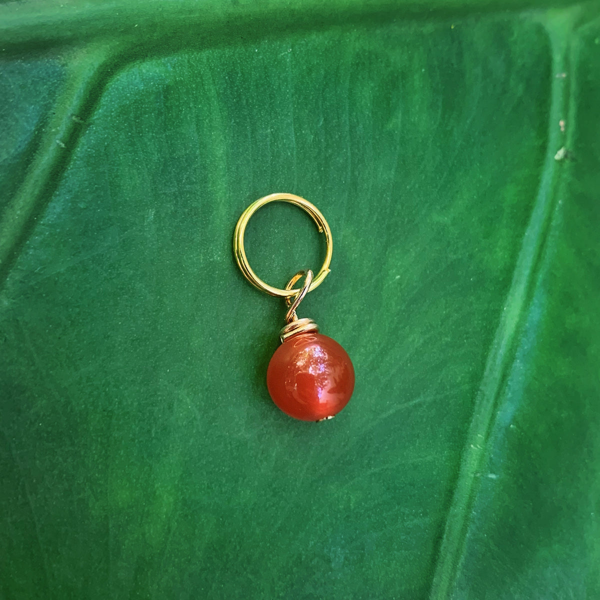 Carnelian Pet Charm
