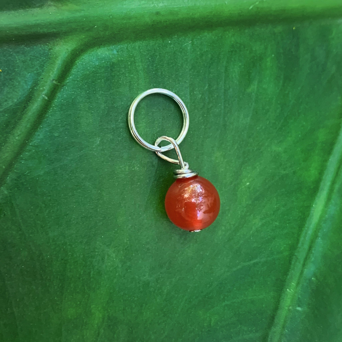 Carnelian Pet Charm