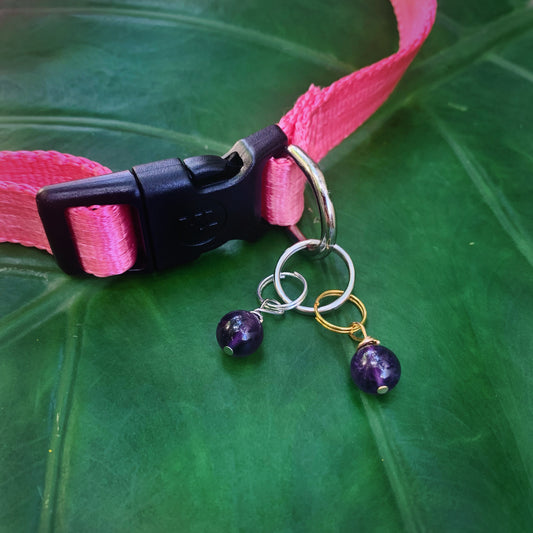 Amethyst Pet Charm