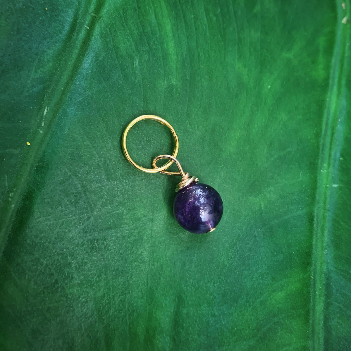 Amethyst Pet Charm