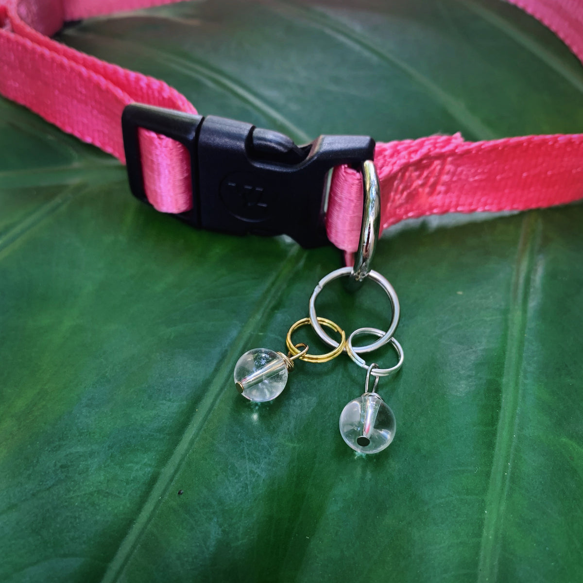 Clear Quartz Pet Charm