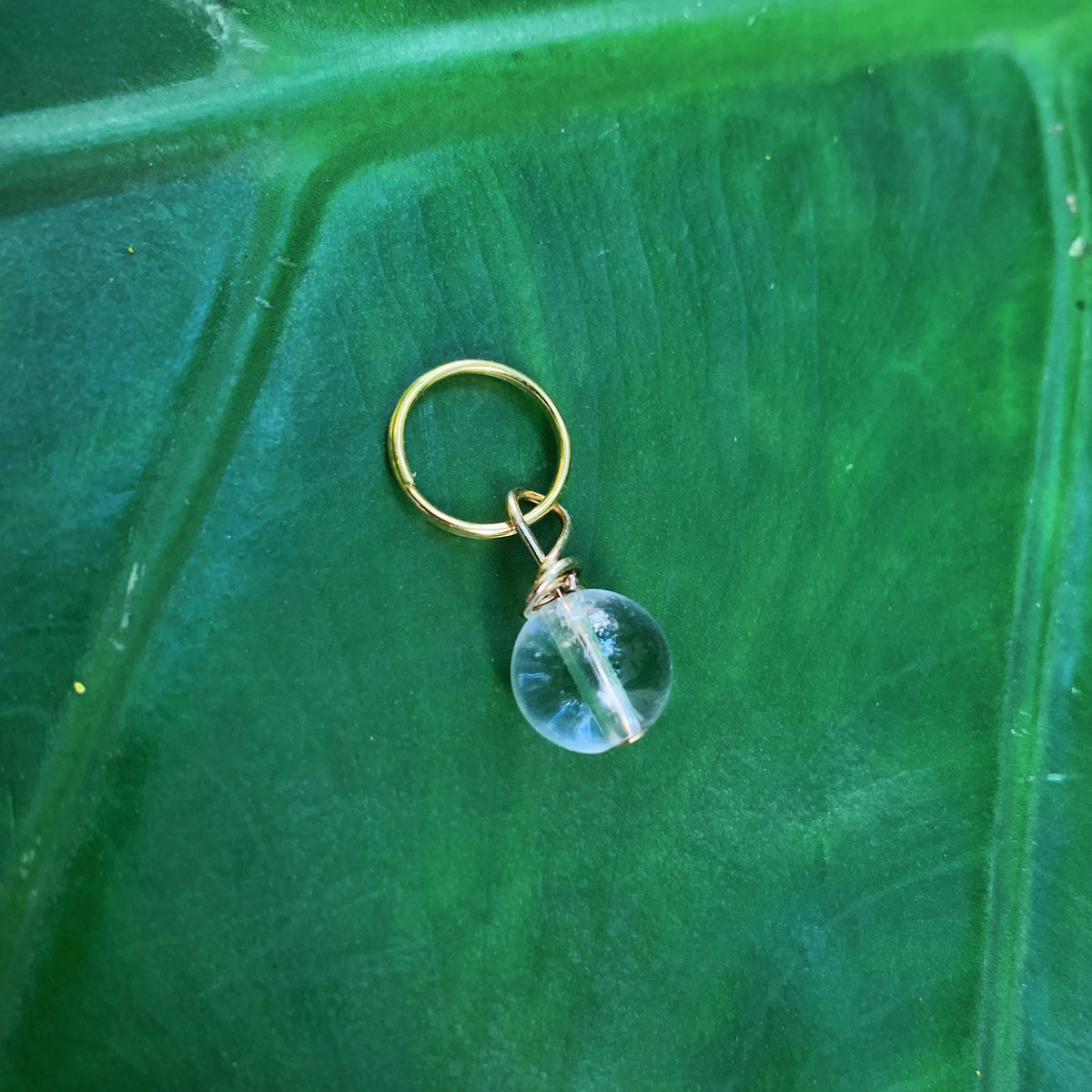 Clear Quartz Pet Charm