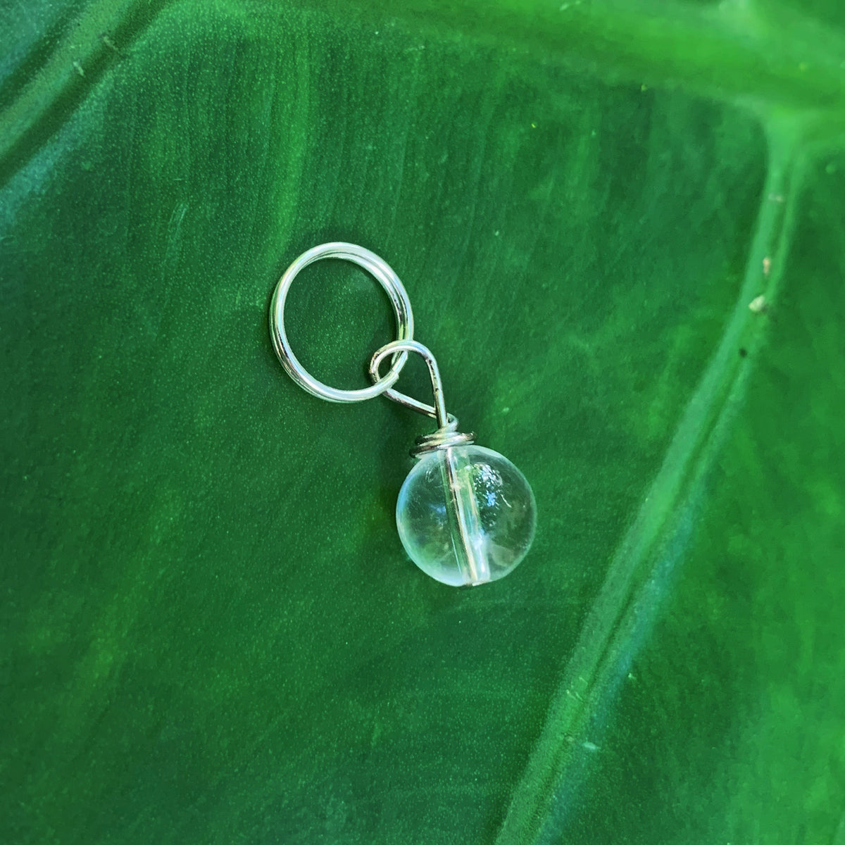 Clear Quartz Pet Charm