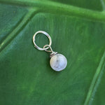 Load image into Gallery viewer, Howlite Pet Charm

