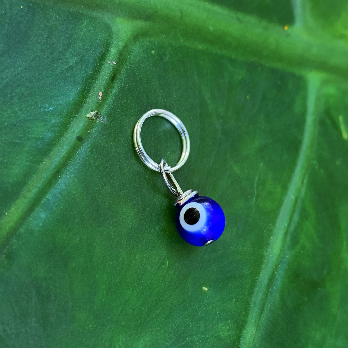 Evil Eye Pet Charm (small)