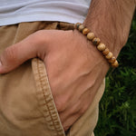 Load image into Gallery viewer, Picture Jasper Bracelet
