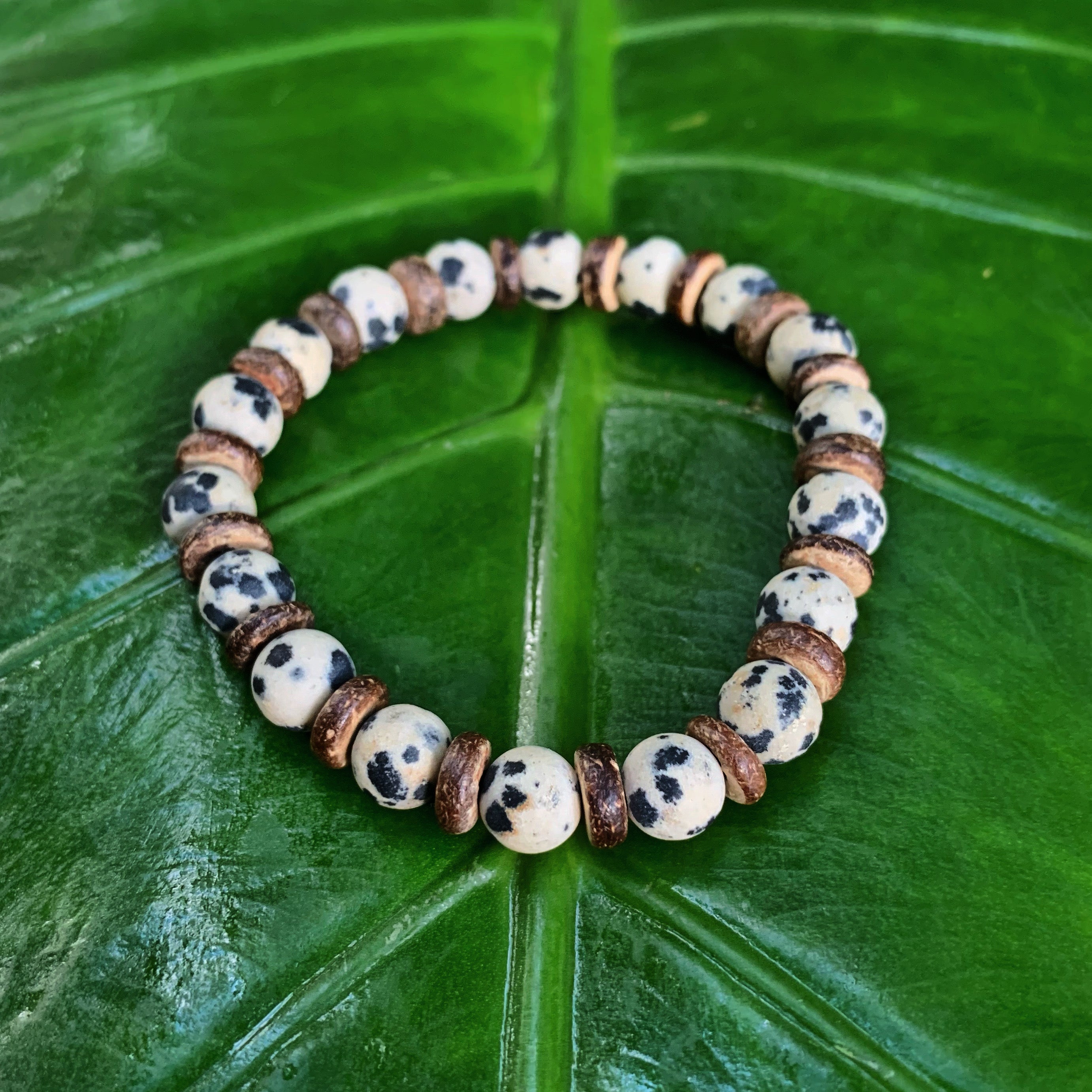 Little Treasure Natural Dalmatian Jasper bracelet – Alchemy For The Soul