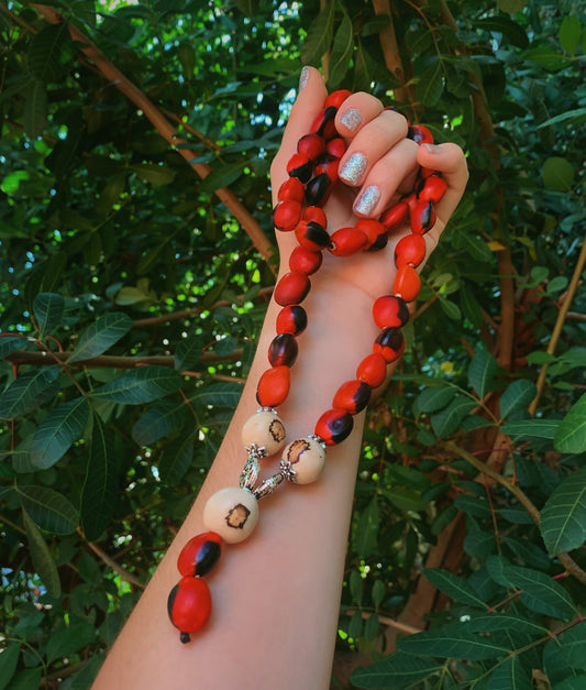 Large Huayruro and Bombona Seeds