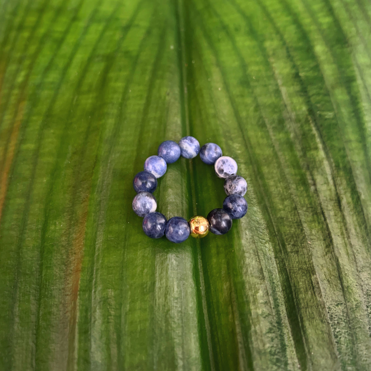 Sodalite Ring