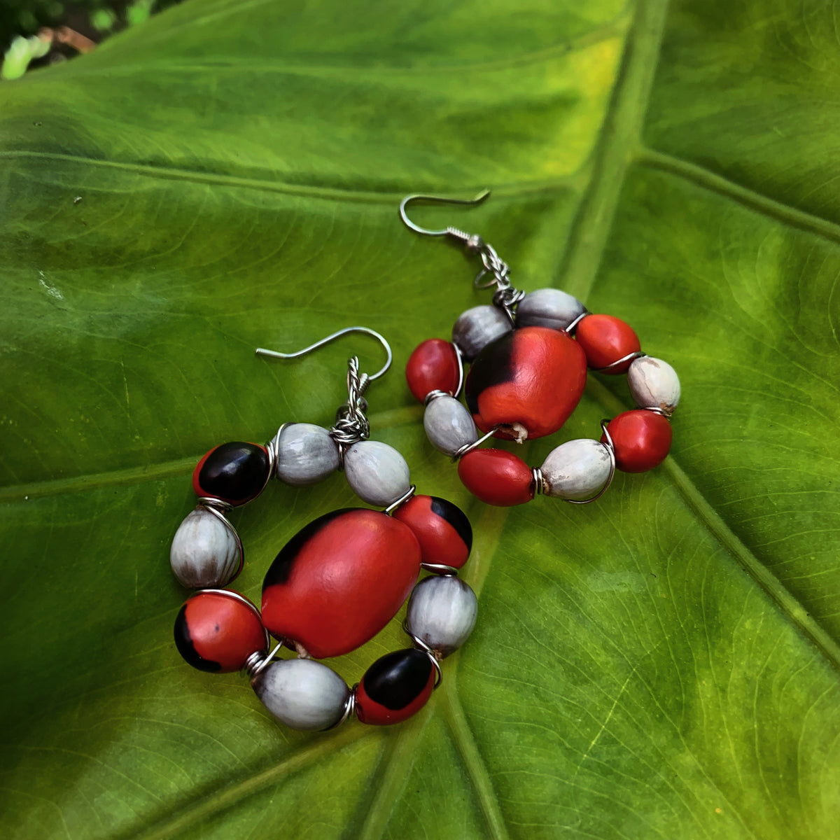 Lagrima San Pedro and Huayruro Earrings - Stainless Steel
